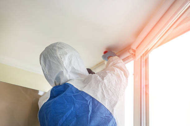 Best Residential Mold Inspection & Testing  in Blue Jay, OH