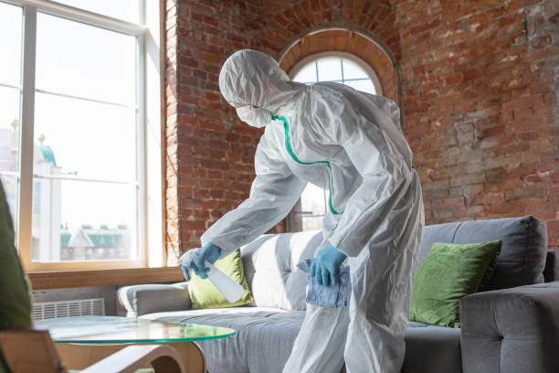 Best Biohazard Mold Removal  in Blue Jay, OH