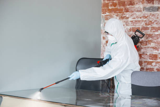 Best Mold Prevention Services  in Blue Jay, OH